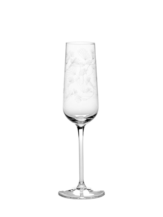 Marni By Serax - Lot de 4 verres Camelia Aubergine