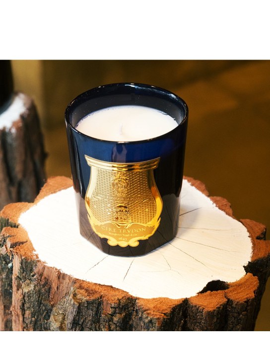 Trudon - Bougie parfumée classique Reggio