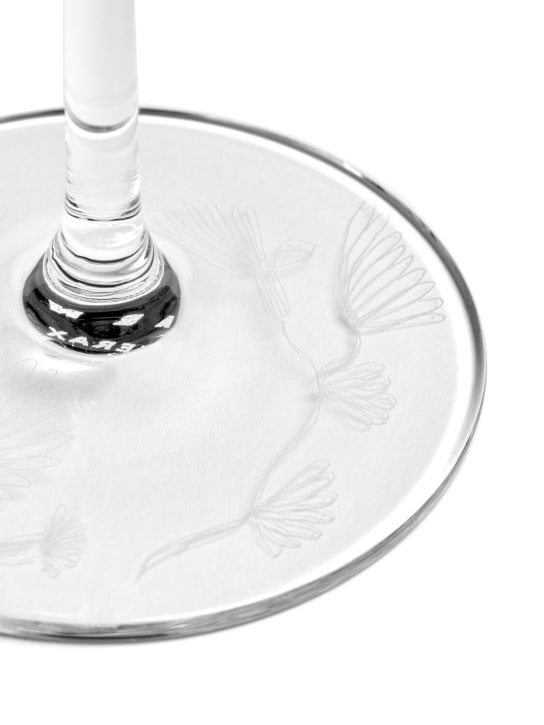 Marni By Serax: Lot de 4 verres Camelia Aubergine