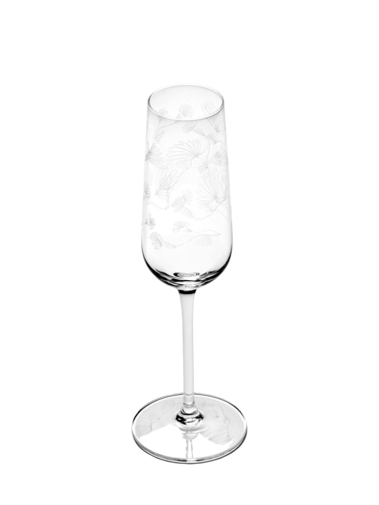 Marni By Serax: Lot de 4 verres Camelia Aubergine