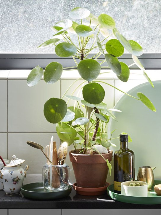 Vitra - Set of 3 trays