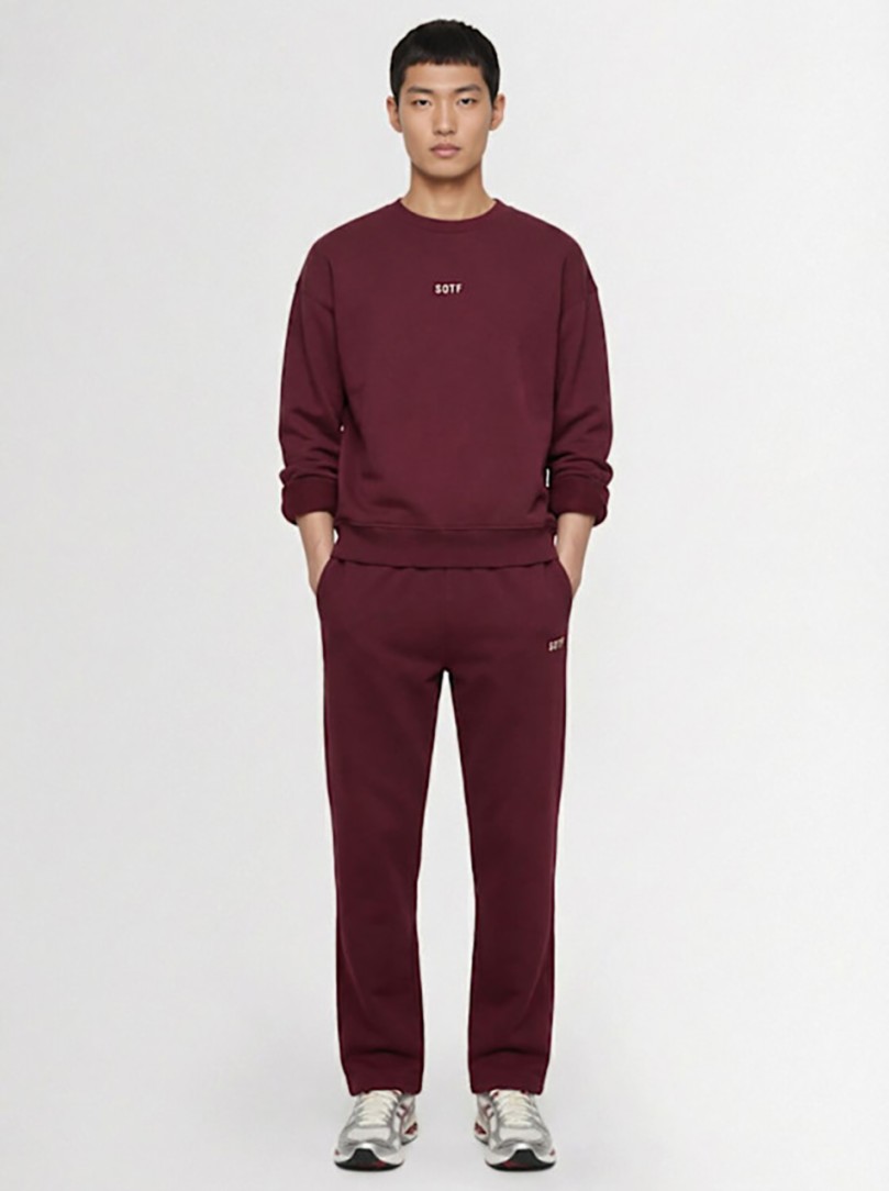 SOTF - Crew neck sweatshirt with applied details